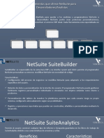 NetSuite SuiteCloud