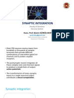 Synaptic Integration