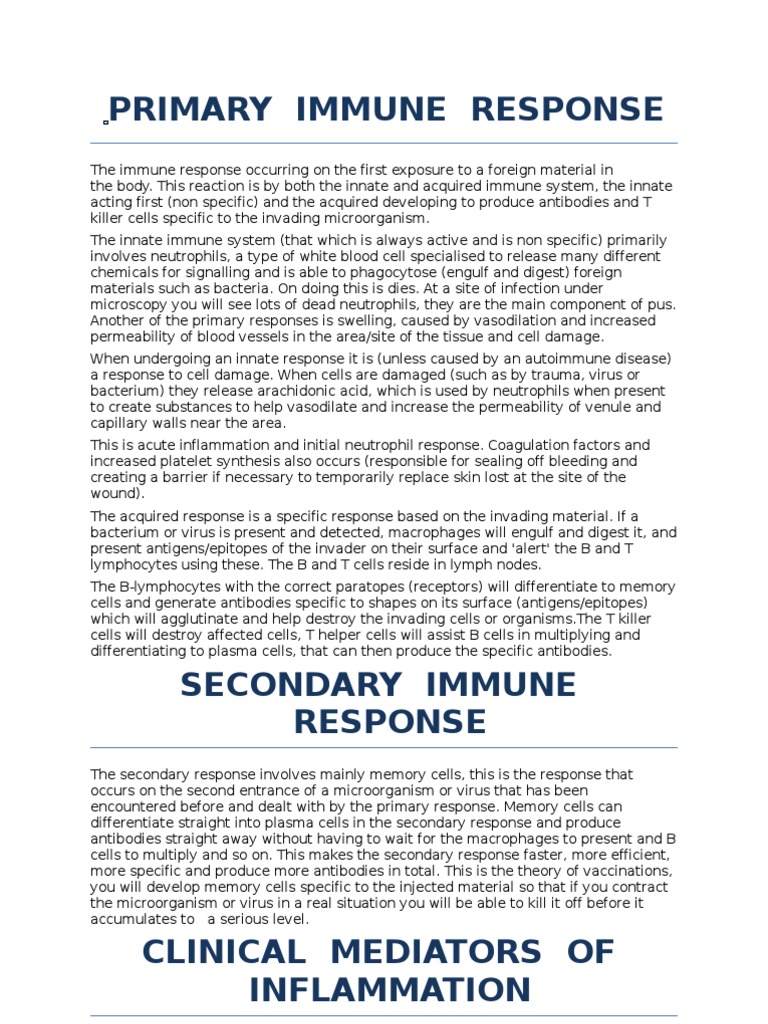 Informative essay about bullying image