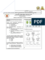 Banco de Preguntas Naturales