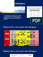 Presentacion Renal