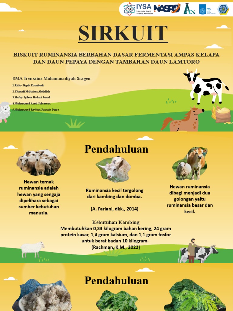 Sirkuit: Biskuit Ruminansia Berbahan Dasar Fermentasi Ampas Kelapa Dan ...