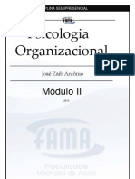 Psicologia Organizacional md2