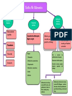 Mapa Conceptual