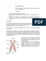 Teoría cromosómica herencia