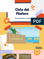 Ciclo Del Fósforo