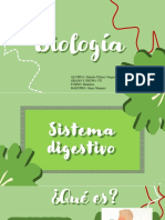 Sistema Digestivo 1.0 Biologia