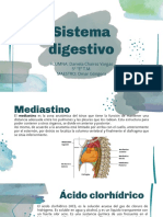 Sistema Digestivo 5.0 Biología