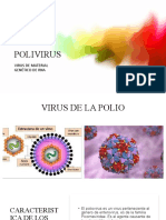 Polivirus: Virus de Material Genético de Rna
