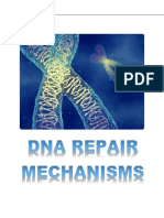 DNA Repair Mechanismss