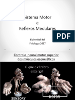 Sistema Motor e Re Exos Medulares: Elaine Del Bel Fisiologia 2017