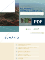 Relatório de Impacto Ambiental para Complexo Eólico de 218,4 MW