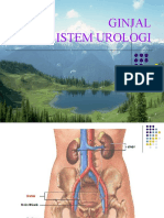 Ginjal Sistem Urologi: Solikin