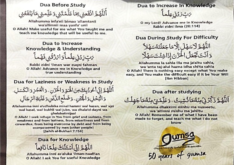 DUA Study PDF