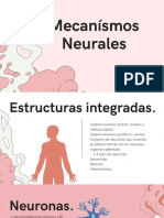 Ayudantía mecanísmos neurales