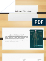 Presentación Sistema Nervioso