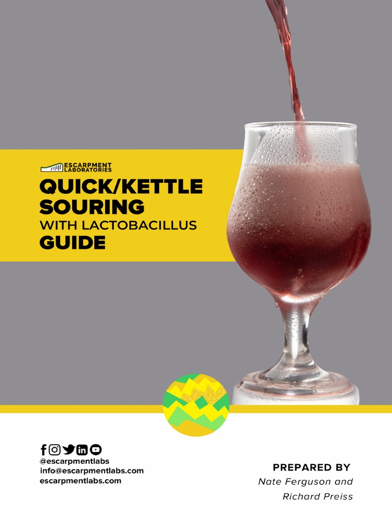 Kettle Souring Guide EL 2 PDF