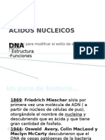 Acidos Nucleicos Dna (2)