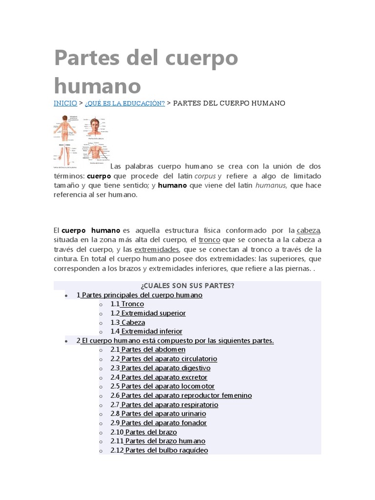 Partes Del Cuerpo Humano | PDF | Mano | Cara