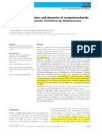 Xiao e Koo 2010 Structural Organization and Dynamics of Exopolysaccharide Matrix and Microcolonies Formation by Streptococcus Mutans in Biofilms