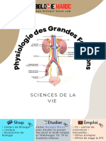 physio-grd-fct-cours-4-digestion
