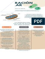 Infografia Sistema Nervioso Anatomico Azul Beige