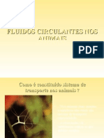 Fluidos Circulantes Nos Animais