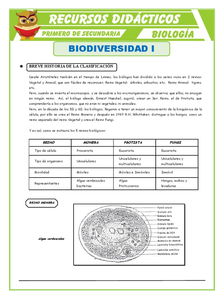 Los 5 Reinos Biologicos para Primero de Secundaria | PDF | Plantas | Hongo