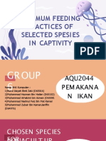 Optimum Feeding Practices of Selected Spesies in Captivity