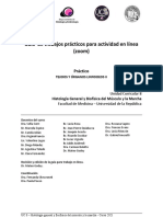 Guía de Trabajo Práctico para Actividad en Línea - Práctico Tejido y Órganos Linfoideos II