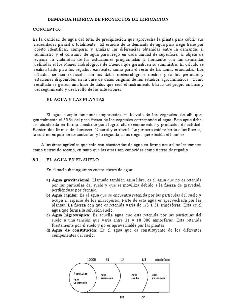 Demanda Hídrica en Irrigación | PDF | Agua | Riego