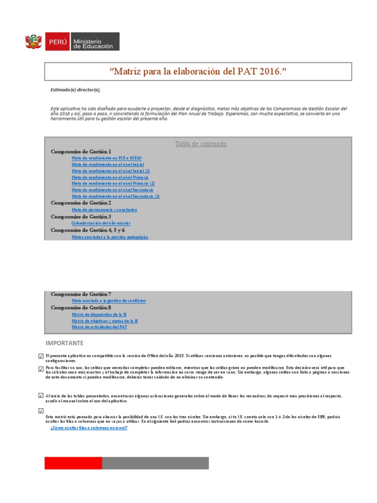 Matriz-de-elaboración-del-PAT | PDF