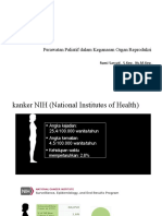 Endometrium Rumi