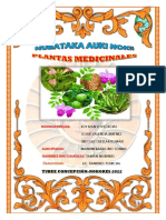 Plantas medicinales indígenas Monkox