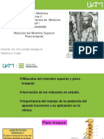 Facultad de Medicina Anatomía II Segundo Año de La Carrera de Medicina Unidad I Aparato Locomotor Músculos Del Miembro Superior Plexo Braquial