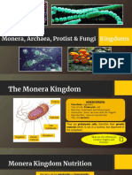 Monera, Archaea, Protist & Fungi Kingdoms