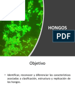 Fundamentos Hongos