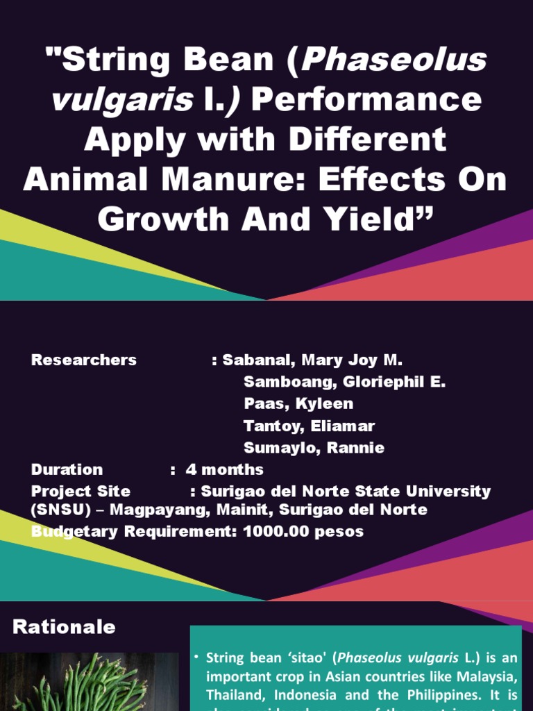 Phaseolus Vulgaris) : "String Bean (L. Performance Apply With Different ...