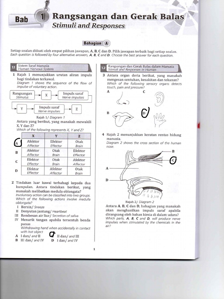 Bab 1 | PDF