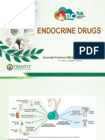 Endocrine Drugs: Associate Professor RHEA G. GACUYA, RN, MAN