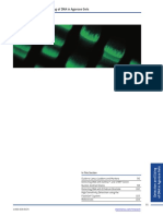 Section IV - Detection and Sizing of DNA in Agarose Gels