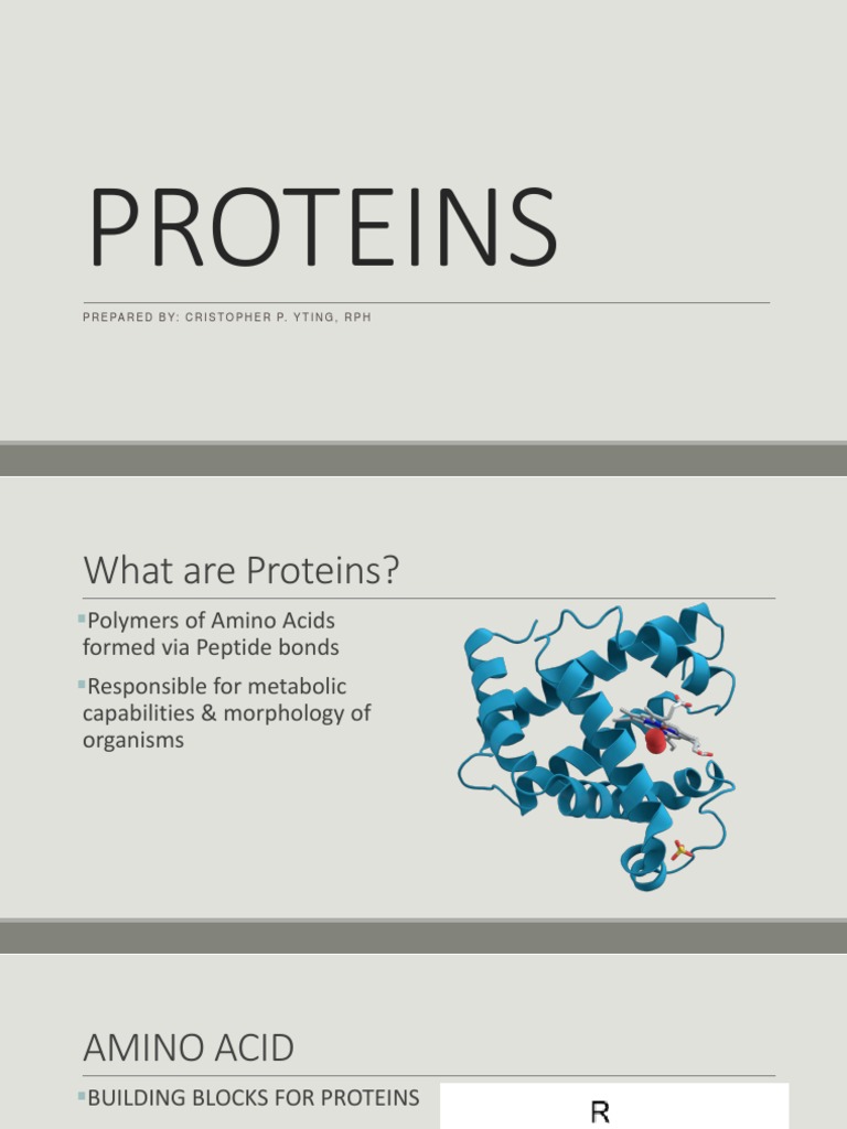 Characterization and Isolation of Common Proteins Through Qualitative