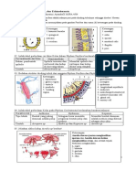 XMIPA4 - 04 - Ardelia C.A - SOAL UH Porifera-Coelenterata-Echinodermata-2 Masa Covid-19