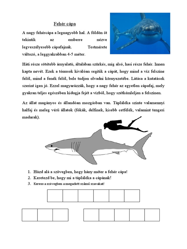 Szövegértés Fehér Cápa | PDF