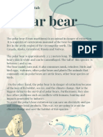 Polar Bear: Atika Bouchatab