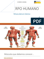 Cuerpo Humano (Músculos y Ejercicios Por Músculo) 3ºESO