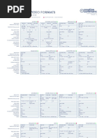 Digital Video Formats (8.5x11)