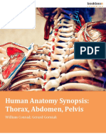 Humanan Atomy Synopsis Thorax Abdomen Pelvis