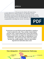 Degradation of Proteins