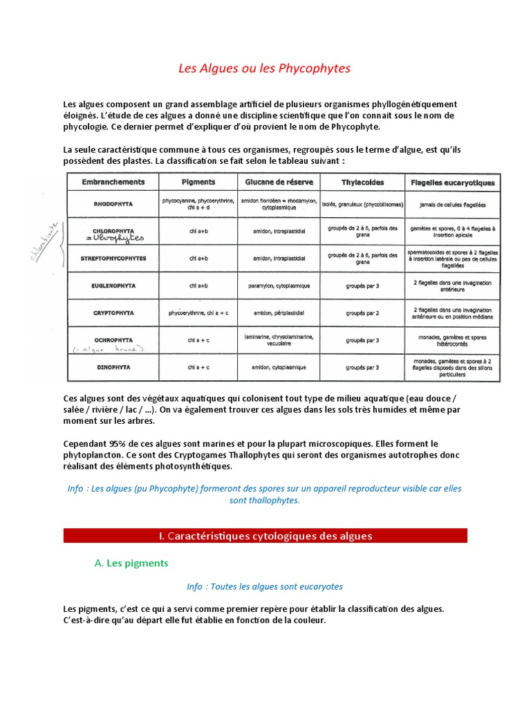 Classification et caractéristiques des algues PDF Biologie Organismes — free download